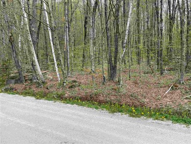 35 Heather Ln, Mendon, VT 05701 - photo 3