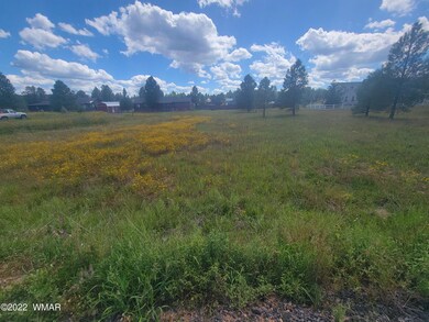 2277 Meadow Ln, Overgaard, AZ 85933 - photo 2