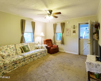 1036 Oak Drive Cir, Kingsport, TN 37665 - photo 7