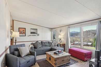 99 Colton Dr, Leicester, NC 28748 - photo 6