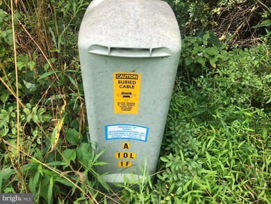 0 Corner Rt 259 & Hunkerson Gap Rd unit WVHD2000974, Mathias, WV 26812 - photo 7