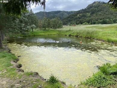 Pond