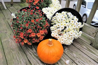 114 N Main St, Salem, NH 03079 - photo 4