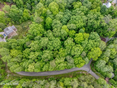 DJI_0707