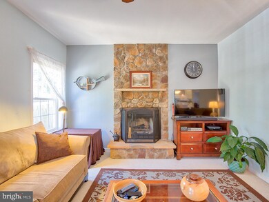 423 Lilys Way, Winchester, VA 22602 - photo 5