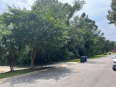 200 Deer Crossing Rd, Elgin, SC 29045 - photo 3