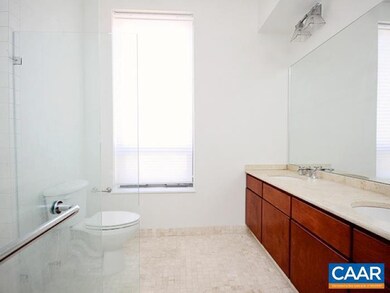 112 5th St SE unit 3B, Charlottesville, VA 22902 - photo 6