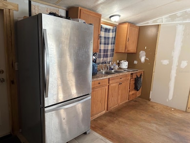 836 Cr 481w, Lake Panasoffkee, FL 33538 - photo 4