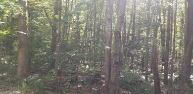 116792826_628237568094503_17849068098140