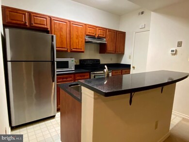 12152 Penderview Terrace unit 1303, Fairfax, VA 22033 - photo 4