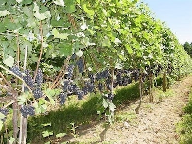 335 Old Fall River Rd, Dartmouth, MA 02747 - photo 5