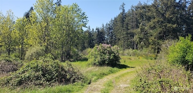 10010 219th Street Ct E, Graham, WA 98338 - photo 7