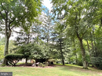 12703 Hammonton Rd, Silver Spring, MD 20904 - photo 6