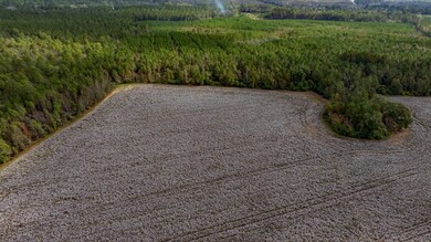 7881 Sinkhole Rd, Statesboro, GA 30458 - photo 5