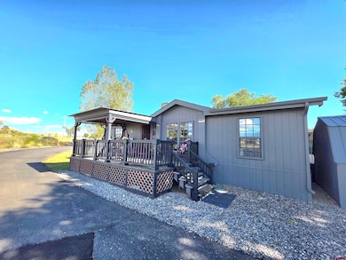 20020 Kenosha Rd, Austin, CO 81410 - photo 3