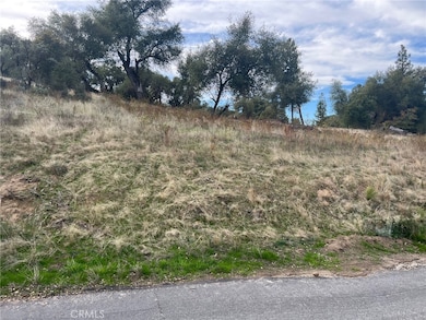 0 Hangtree Ct, Oakhurst, CA 93644 - photo 5