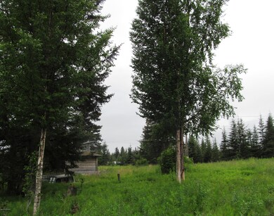 Some nice Spruce