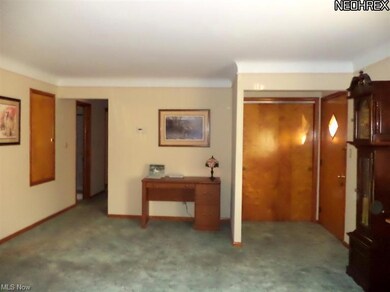 Spacious Living Room (2)