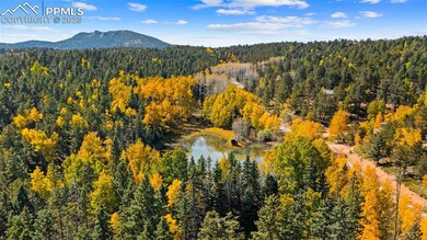 2558 County Road 28, Woodland Park, CO 80863 - photo 4