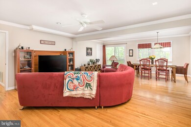 8410 Blakiston Ln, Alexandria, VA 22308 - photo 7