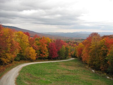 1639 Vermont Route 100 S, Ludlow, VT 05149 - photo 2