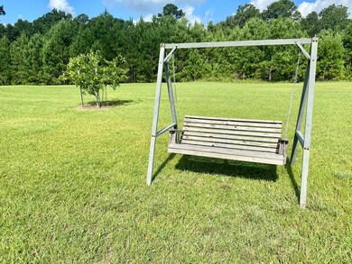 Satsuma Trees