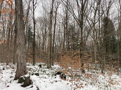 0 Rt 8 unit 11608225, Ohio, NY 13324 - photo 5