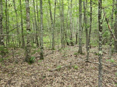 image000001(20)