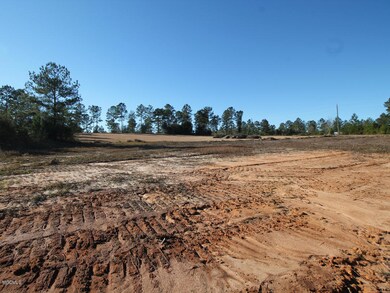 117 Hafner Ln, Lucedale, MS 39452 - photo 4