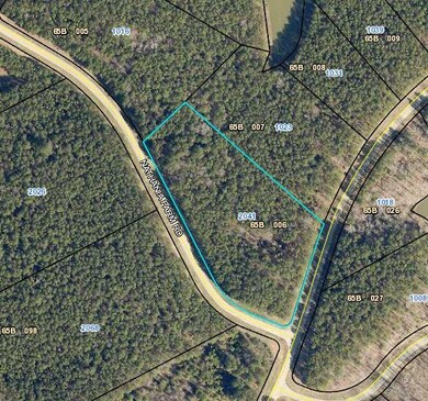 2041 Nathania Farm Rd, Lincolnton, GA 30817 - photo 2