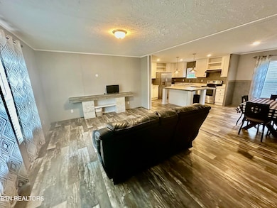 2528 Dogwood Loop Dr, Sevierville, TN 37876 - photo 4