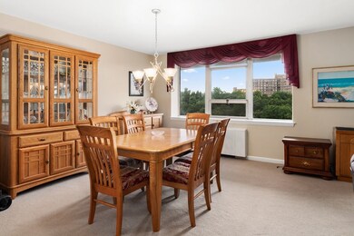 Imperial Towers unit 903, Chestnut Hill, MA 02467 - photo 3