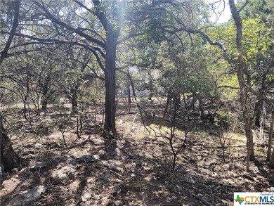 15969 Salado Dr, Temple, TX 76502 - photo 6