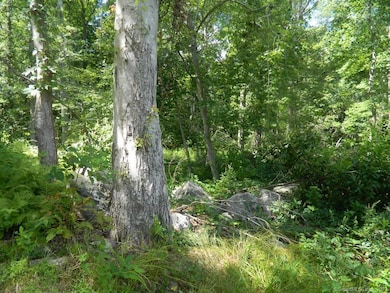 184 Shore Rd, Old Lyme, CT 06371 - photo 2