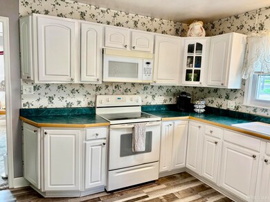 318 S Moore St, Bessemer, MI 49911 - photo 5