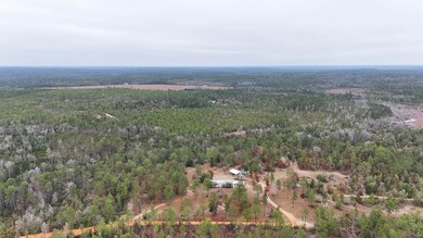 Vacant Joshua Rd, Marianna, FL 32448 - photo 5