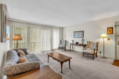 Spacious living area.