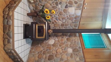 10209 Devils Den Rd, Winslow, AR 72959 - photo 4