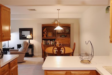 75 Tivoli Gardens unit E75, Tivoli, NY 12583 - photo 4