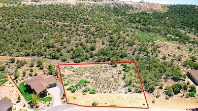 605 & 615 SE Pine St, Cedaredge, CO 81413 - photo 4