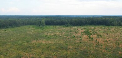 0 Hammond Rd unit 11549597, Monticello, MS 39654 - photo 6