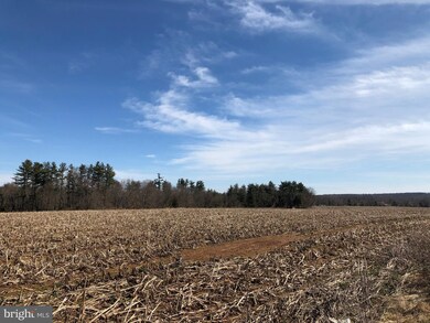 0 New Hope Rd unit PABU522864, Furlong, PA 18925 - photo 2