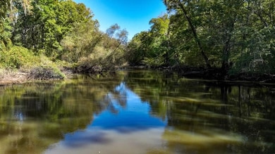 Scarboro Landing, Millen, GA 30442 - photo 5