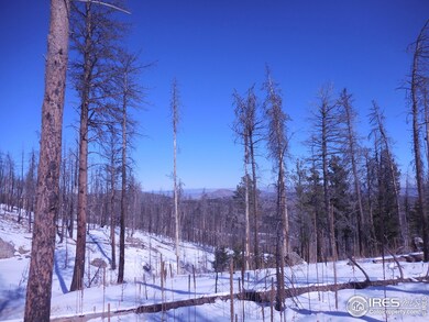 0 Davis Ranch Rd unit 784426, Bellvue, CO 80512 - photo 7