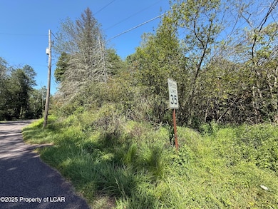 10 Peatmoss Rd, White Haven, PA 18661 - photo 3