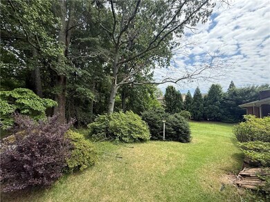 View of grassy yard
