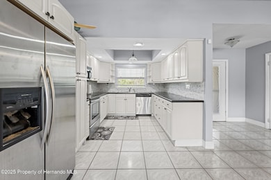 20228 County Line Rd, Lutz, FL 33558 - photo 7