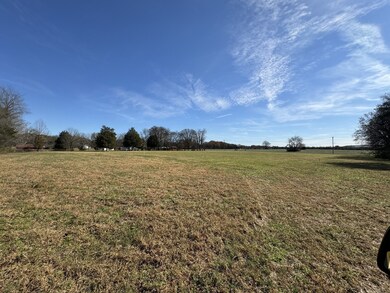 313 Holly Grove Rd, Lascassas, TN 37085 - photo 3