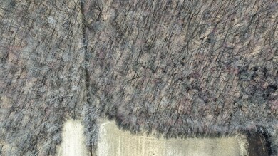 DJI_20250417142953_0107_D