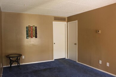 Living Room w/Coat Closet